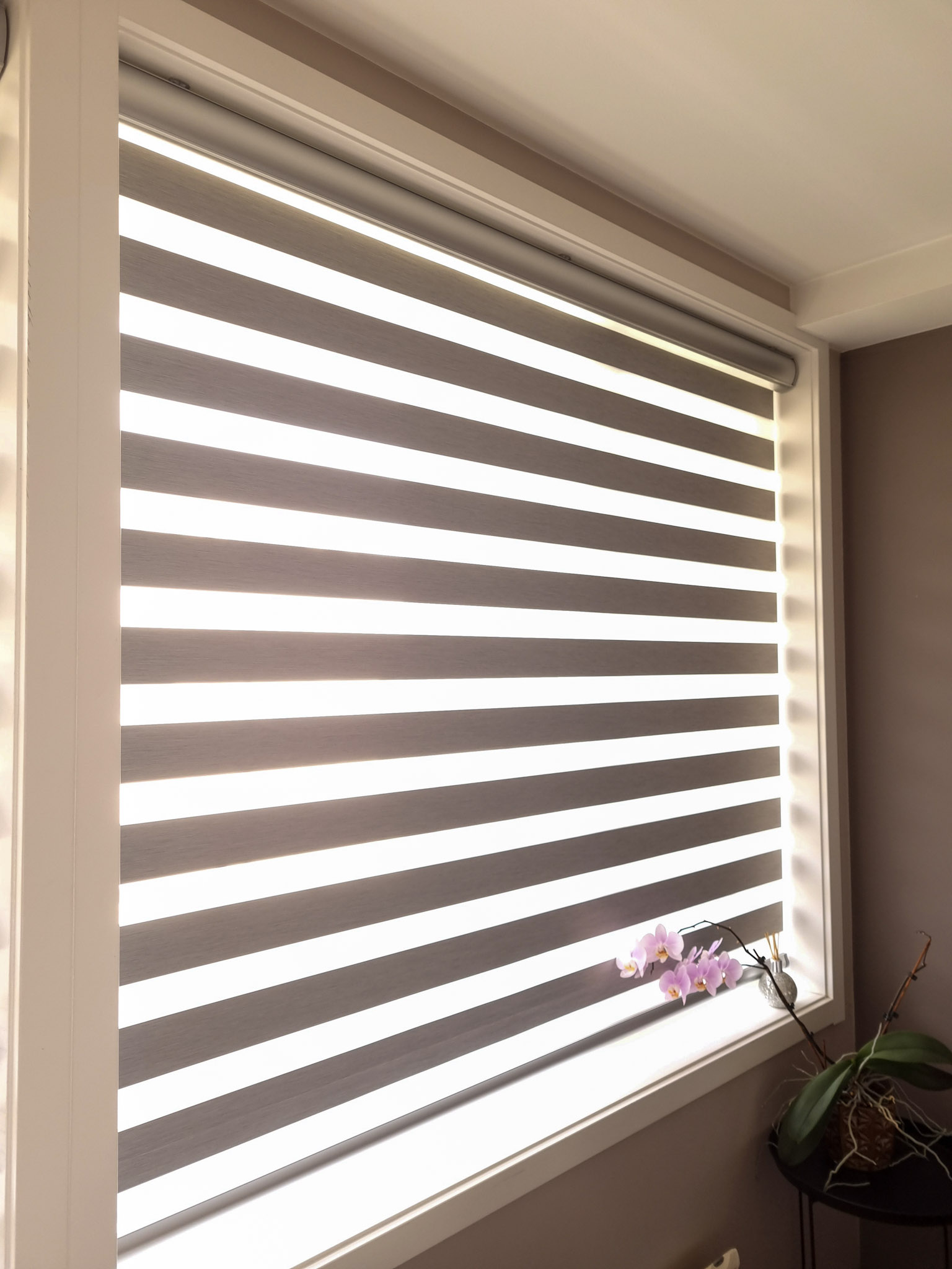 Custom Vision Blinds Beyond Curtains and blinds Sydney